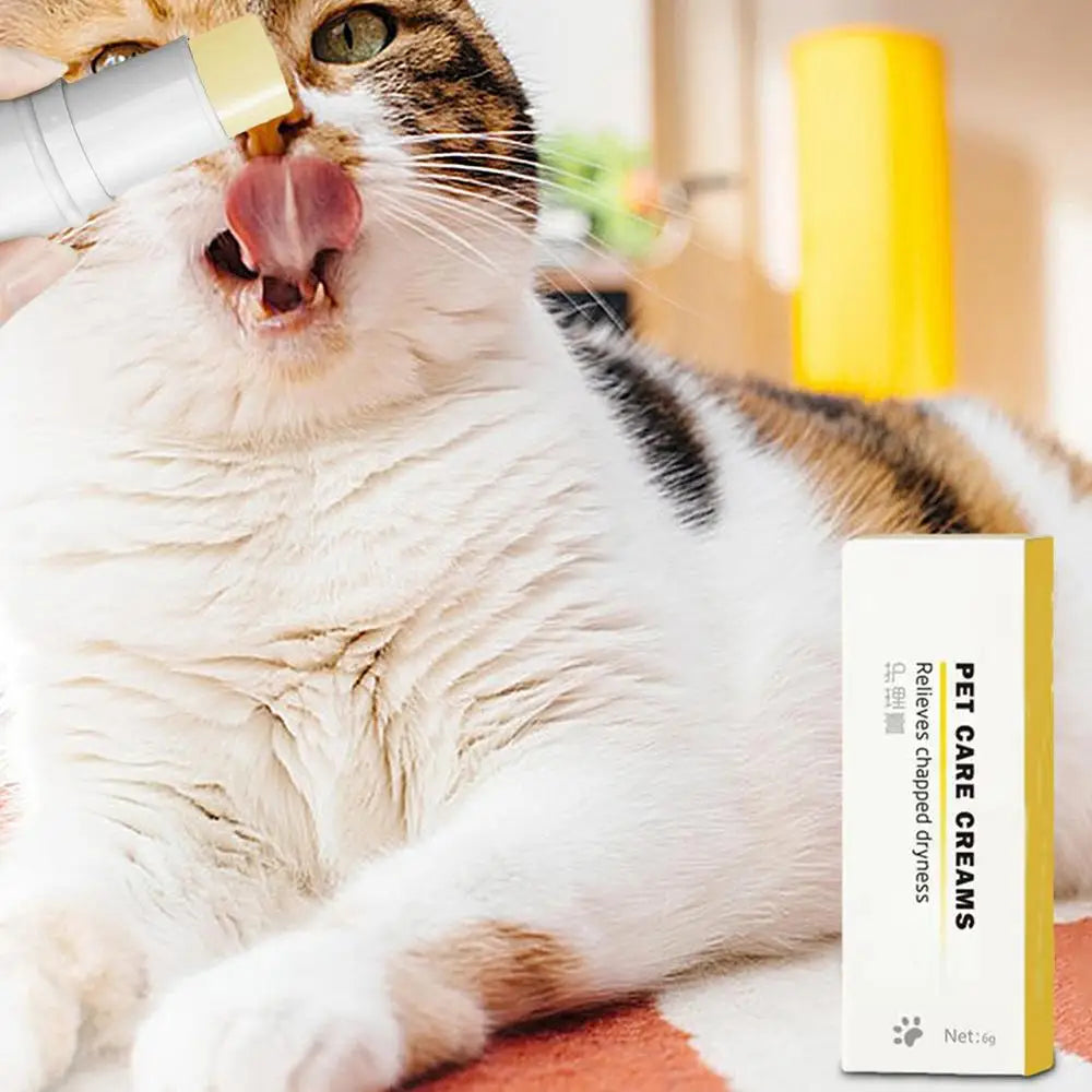 6g Dog Nose And Paw Balm Dog Paw Cream Cats Dogs Paw Protector Cream Pet Feet Moisturizer Pet Crack Feet Repair Pet Accessories