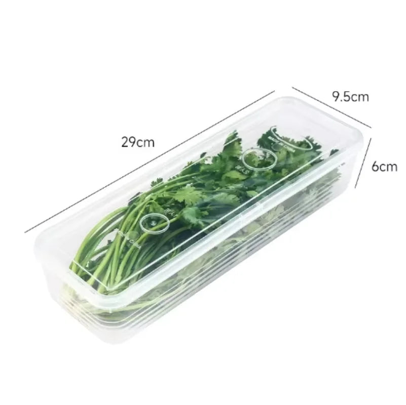 Fresh Box Refrigerator Storage Boxes Scallions Food Container with Lid Cold Crisper Sealed Kitchen Fresh Fruit Fridge Organiser