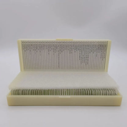 50 Pieces Set School Supplies Microscope Mixed Histology Prepared Slides for Educational Student