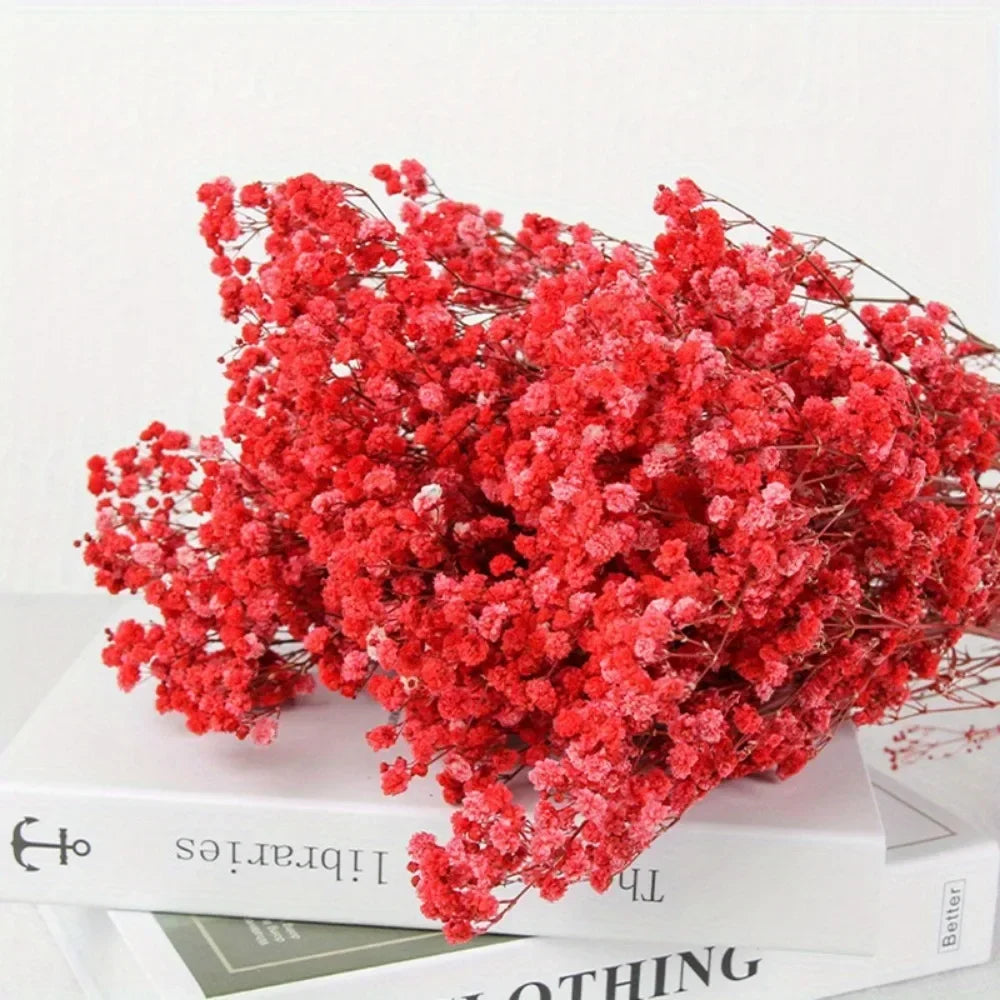 130g Natural Dried Preserved Flowers Babys Breath Home Decoration Natrual Gypsophila Wedding Decor Artificial Flower Photo Props