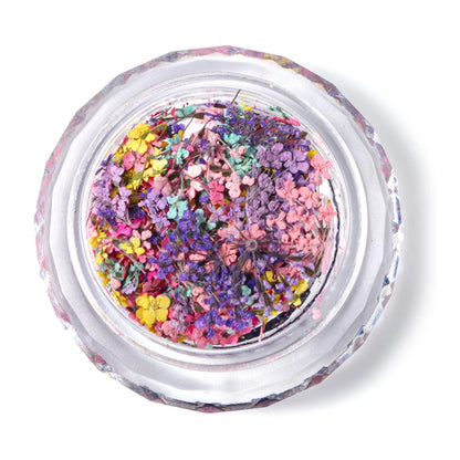 1 Box Nail Art Flower Decoration Delicate Dried Flower Nail Art Decorations Exquisite Nail Art Beauty For Charms Accessories