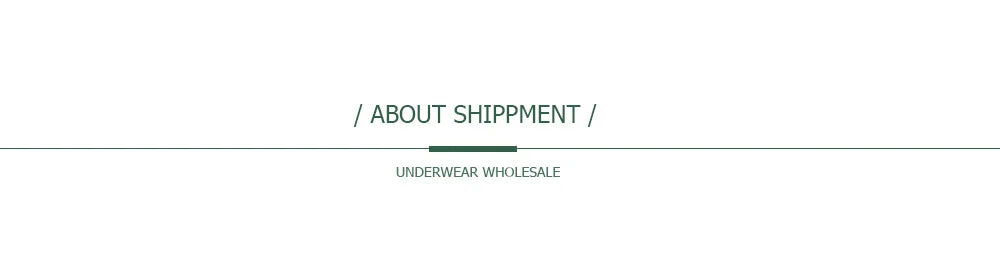 5 PCS/Set Sexy Ladies Transparent Lace Lingerie Panties Woman Cotton Crotch Solid Color Briefs Underwear