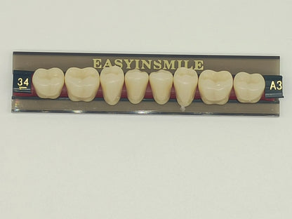 16/12 Sets/ Box Dental Teeth Anterior Posterior Polymer Denture acrylic Tooth A2 A3 2 Layers Dentistry Materials Education Model