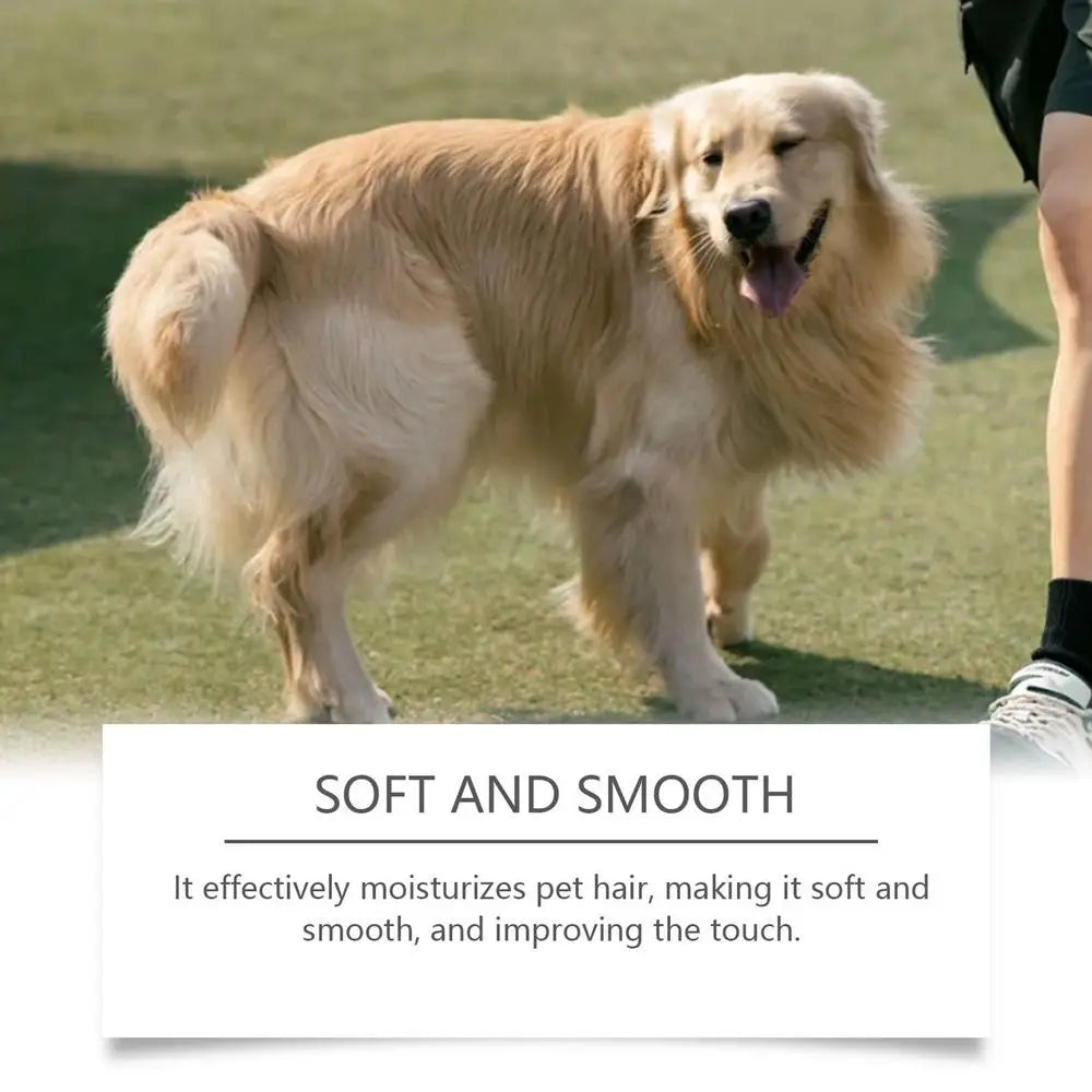 Deodorizing Dog Spray Mild Kitten Odor Removal Natural Deodorizer Perfume Spray For Dogs And Cats Long-lasting Odor Control