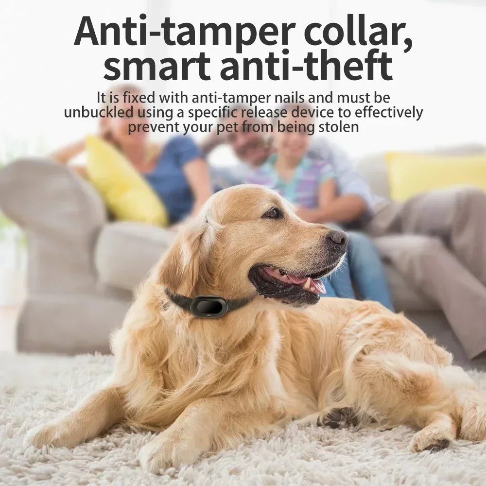 2G/ 4G GSM GPS Pet Tracker Voice Monitor, Pet Dog Gps Anti Loss Mini Tracker IP67 Waterproof Built-in 1300 MAh Battery Locator