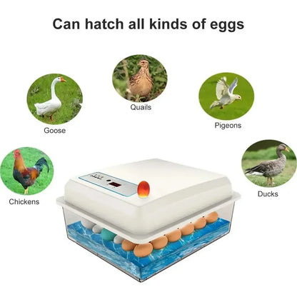 20 Eggs Incubator Turning Hatching Brooder Farm Bird Quail Chicken Poultry Farm Hatcher Turner Incubation Tool