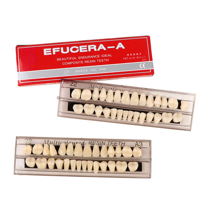 28 Teeth/set Resin Denture Teeth 3d Shade Guide Color Comparator Mirror Dentistry Cold Light Teeth White Bleaching Dental Plate