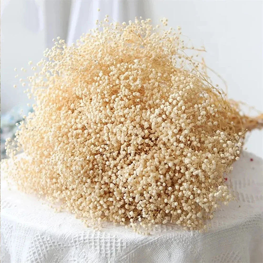 130g Natural Dried Preserved Flowers Babys Breath Home Decoration Natrual Gypsophila Wedding Decor Artificial Flower Photo Props