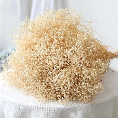 130g Natural Dried Preserved Flowers Babys Breath Home Decoration Natrual Gypsophila Wedding Decor Artificial Flower Photo Props