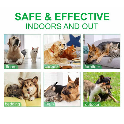 60ml Pet Pest Spray Pet Dog Anti-flea Mites Ticks Drops Kitten Pest Treatment Treatment Flea Puppy Kitten Puppy Spray