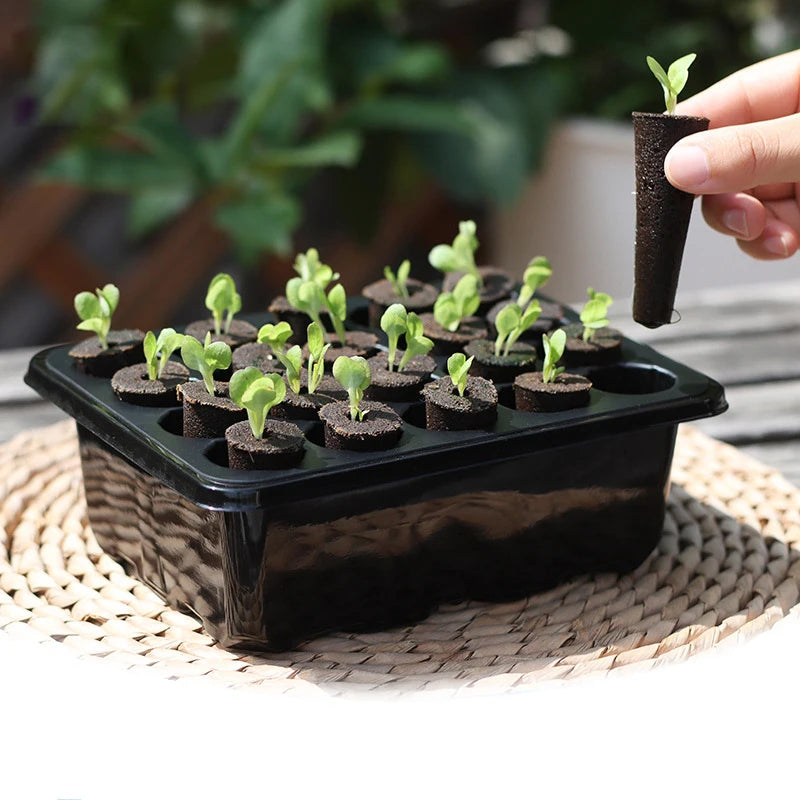 20 Hole Hydroponic Plant Seedling Pots with Intelligent Fill Light Seedling Tray for Fruit Vegetable Gardening Planting Supplies
