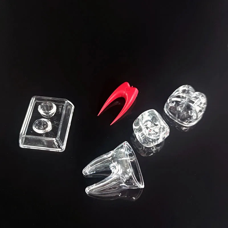 Dental Anatomical Model Transparent Luminous Detachable Single Tooth Decomposition Dentistry Clinic Ornaments 4xTeeth 70mm