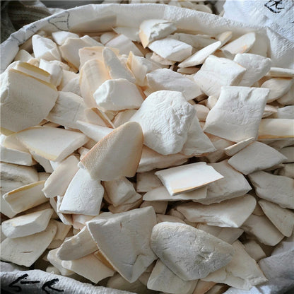 Cuttlefish Bone Natural Cuttlebone Parrot Chew Toys Parrot Calcium Supplements for Bird Cockatiel Parakeet Parrot