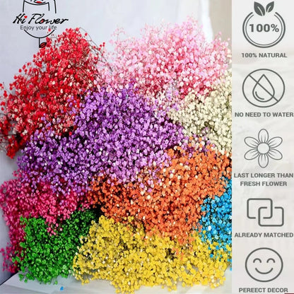 130g Natural Dried Preserved Flowers Babys Breath Home Decoration Natrual Gypsophila Wedding Decor Artificial Flower Photo Props