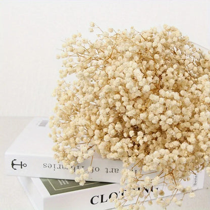 130g Natural Dried Preserved Flowers Babys Breath Home Decoration Natrual Gypsophila Wedding Decor Artificial Flower Photo Props