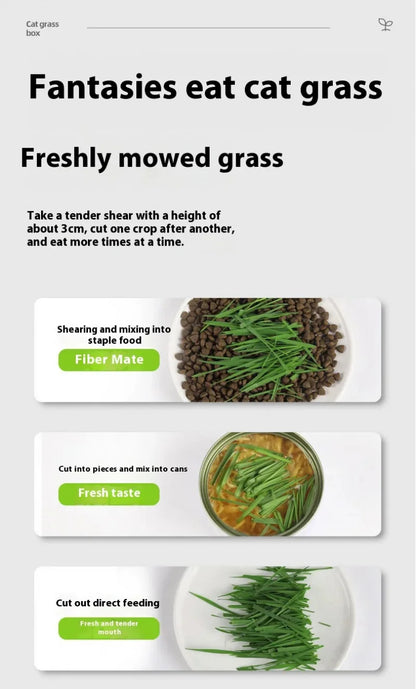 Hydroponic Natural Cat Grass Growing Kit-Organic Wheat Grass Seeds For Digestive Health & Hairball Control,With Potting Soil Set