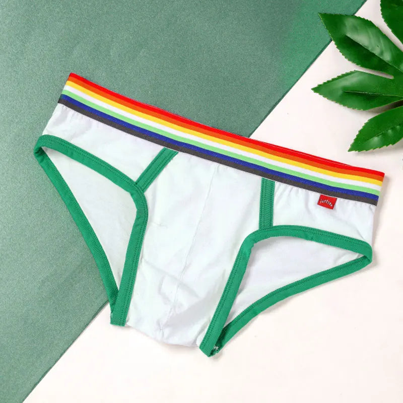 Sexy Mens Underwear Rainbow Belt Briefs Fashion Cotton Panties Youth Breathable Underwear Briefs Low Waist Underpants For Male