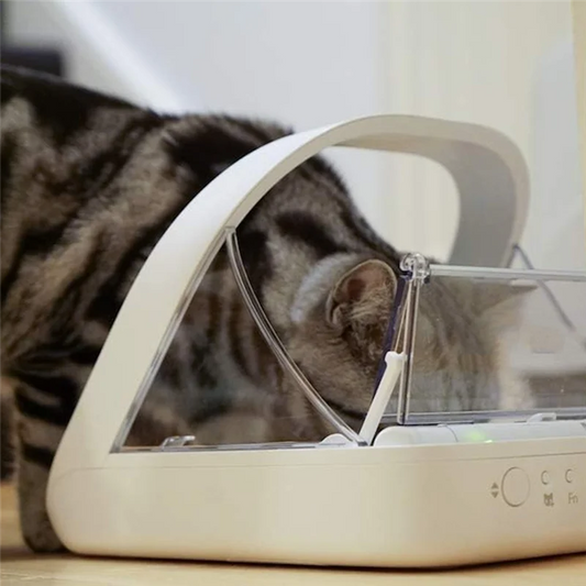 SOFT-Selective-Automatic Pet Feeder Makes Meal Times Stress-Free, Suitable For Both Wet And Dry Food