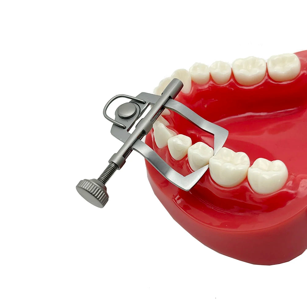 Dental Teeth Separator Dividor Wedge Retainer Anterior Teeth Posterior Teeth Orthodontic Matrix Rubber Dam Dentist Oral Care