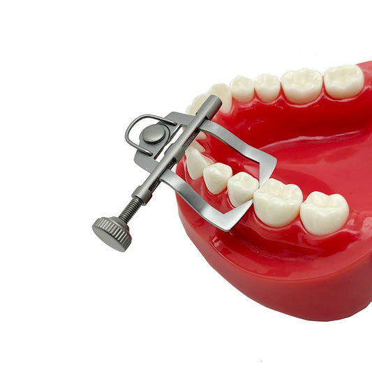 Dental Teeth Separator Dividor Wedge Retainer Anterior Teeth Posterior Teeth Orthodontic Matrix Rubber Dam Dentist Oral Care