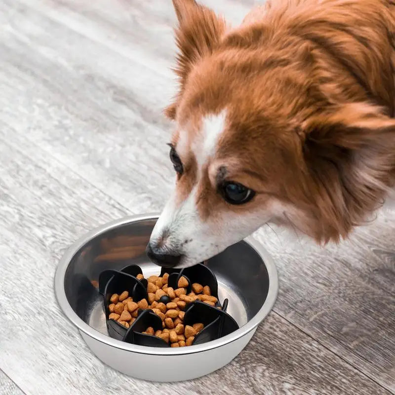Pet Bowl Slow Feeder | Silicone Dog Slow Feeder Bowl Large Breed | Pet Slower Food Feeding Dishes Interactive Bloat Stop Dog Bow