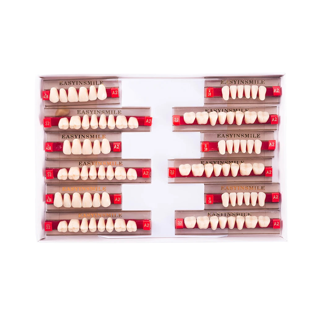 16/12 Sets/ Box Dental Teeth Anterior Posterior Polymer Denture acrylic Tooth A2 A3 2 Layers Dentistry Materials Education Model