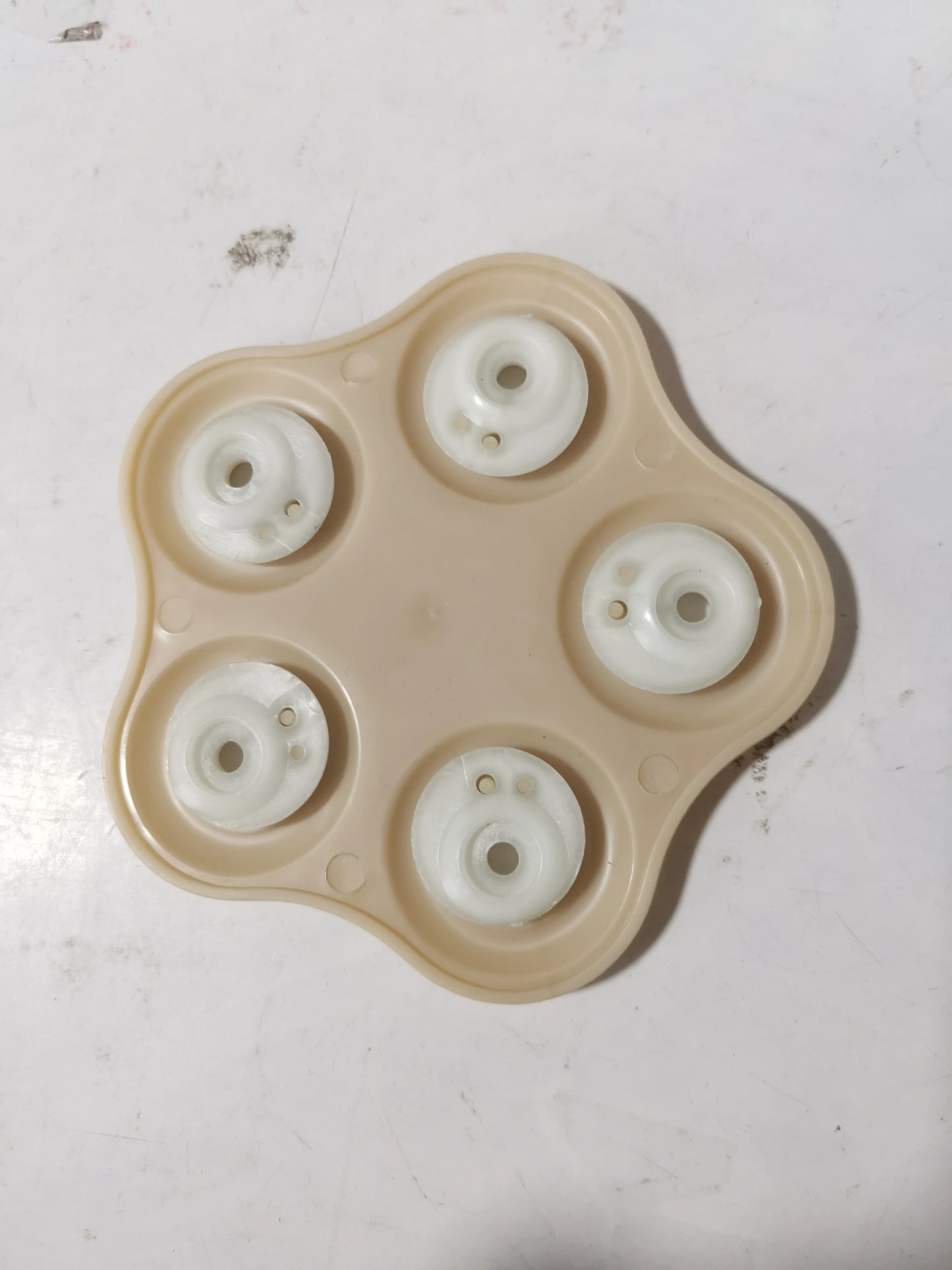 Pump Replacement Parts Accessories Spare Part Membrane  Of Diaphragm Pump DP70
