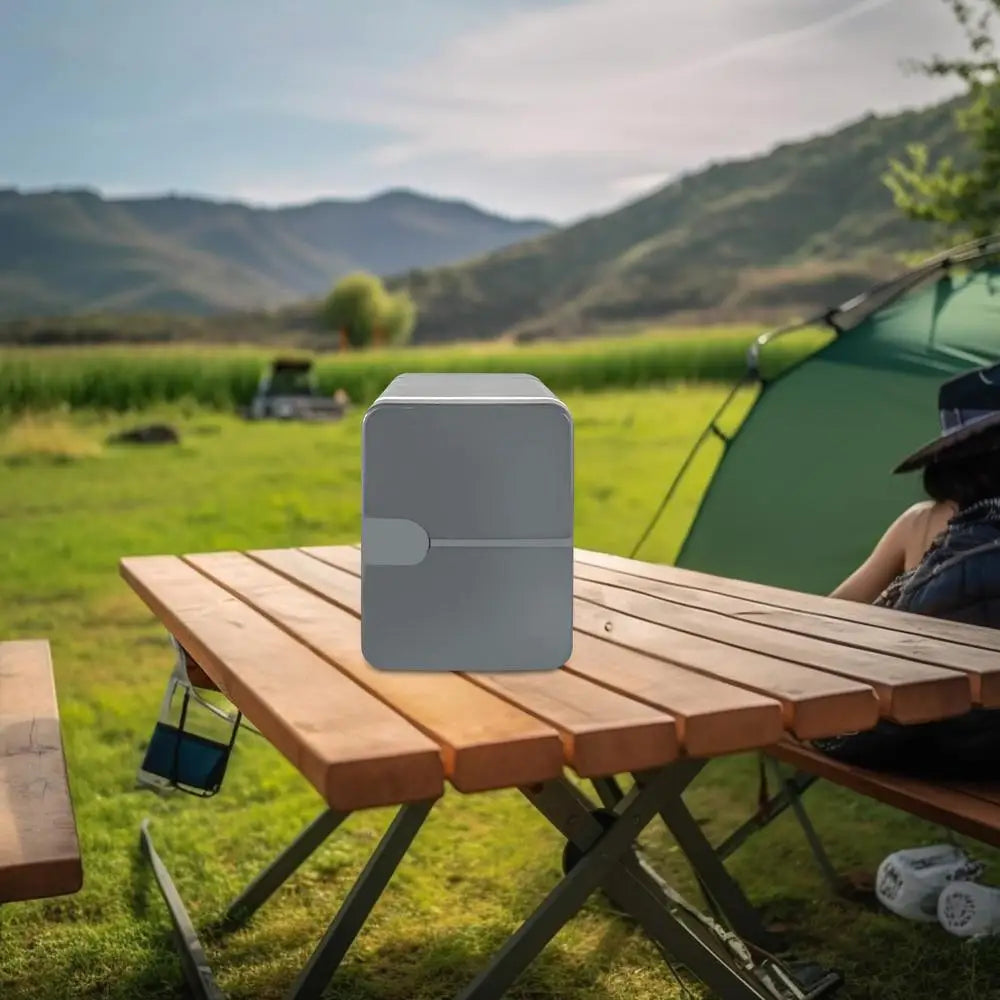 Portable Car Refrigerator 6L Thermal and Cool Fridge 12V DC 220V AC Camping Refrigerator Car Cooler Warmer for Driving Travel