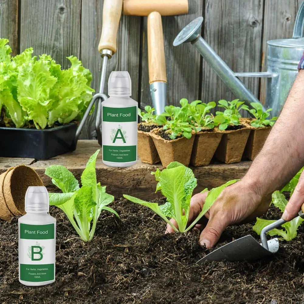 Hydroponic Nutrient Solution A&B Natural Nutrients Liquid Fertilizer Hydroponics Plant Food for Flowers Vegetables Garden Supply