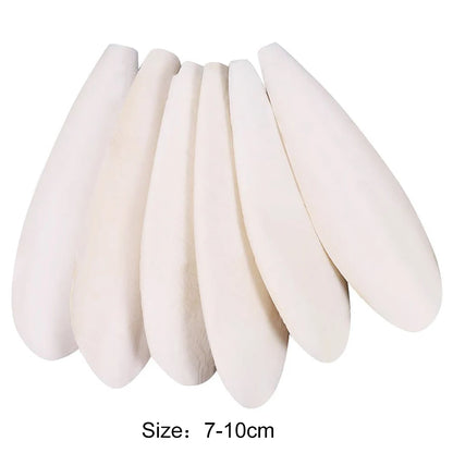 Cuttlefish Bone Natural Cuttlebone Parrot Chew Toys Parrot Calcium Supplements for Bird Cockatiel Parakeet Parrot