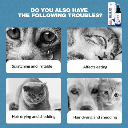 Pet Tick Spray Ticks Spray That Repels and Prevents Ticks Spray for Pets 100ml Safe for Home and Cats Dogs Flea Remover