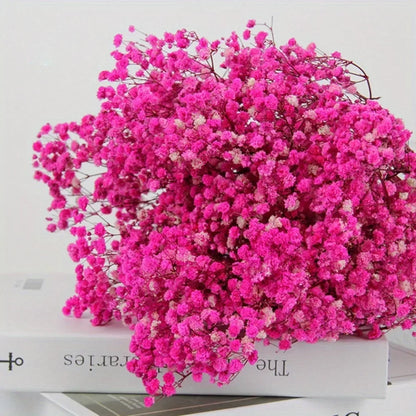 130g Natural Dried Preserved Flowers Babys Breath Home Decoration Natrual Gypsophila Wedding Decor Artificial Flower Photo Props