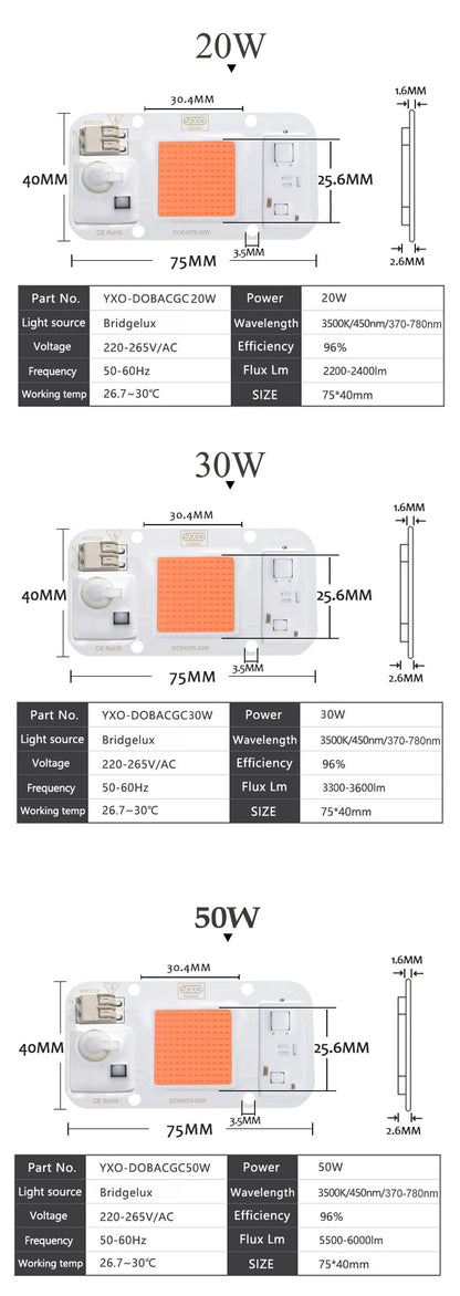 Smart IC LED COB Bulb Chip 20W 30W 50W 230V Input IP65 Waterproof for DIY Street Flood Light Projects Cold/Warm White Options
