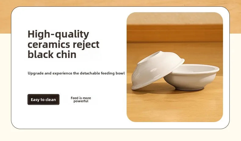 Pet automatic drinking water feeder Integrated large capacity dry and wet separation Ceramic bowl Stainless steel bowl