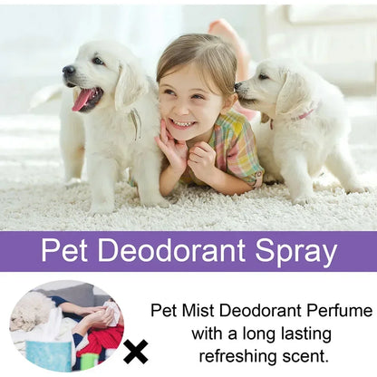 Pet Deodorization Spray 50ml Dog Perfume Lavender Oil Deodorization Spray Anti Itching Fragrant Pet  Cat and Dog Beauty Care
