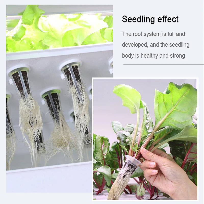20 Hole Hydroponic Plant Seedling Pots with Intelligent Fill Light Seedling Tray for Fruit Vegetable Gardening Planting Supplies