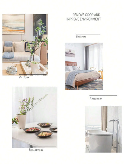 20ML Air Freshener Fragrance Spray Long Lasting Fragrance & Odor Eliminator Home Decor Gifts Birthday Fresheners Mouth Spray Ora