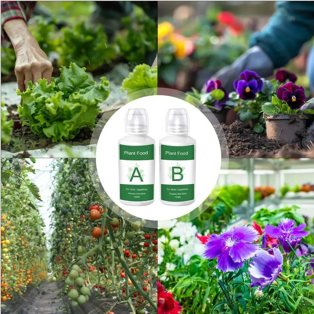 Hydroponic Nutrient Solution A&B Natural Nutrients Liquid Fertilizer Hydroponics Plant Food for Flowers Vegetables Garden Supply