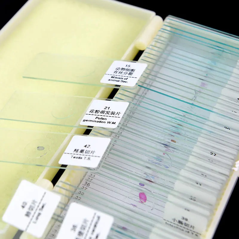 50 PCS Prepared Microscope Slides Learning Resources Slice in Box Basic Science Teaching Learning Specimen