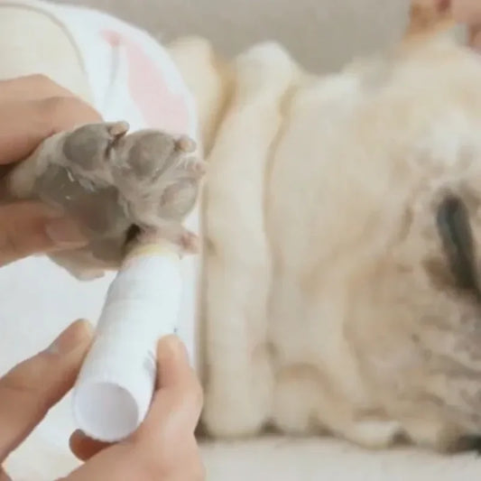 Portable Repair Paw Care Foot Protection Health Multifunction Pet Cream Dog Cat Cleansing Moisturizing Safety Puppy Forefoot