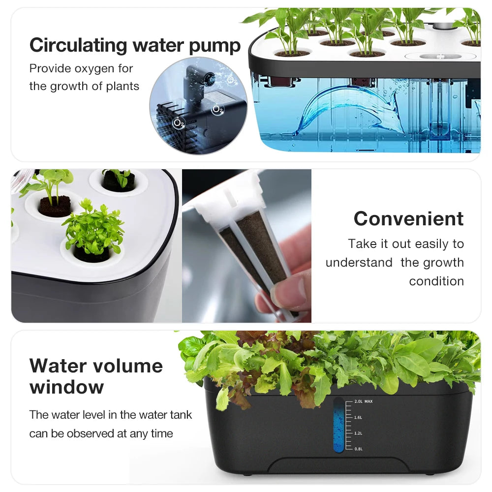 6 Holes Indoor Garden Hydroponics Growing System Full Spectrum LED Plant Grow Light Vegetable Fruit Herb Planting Box For Home