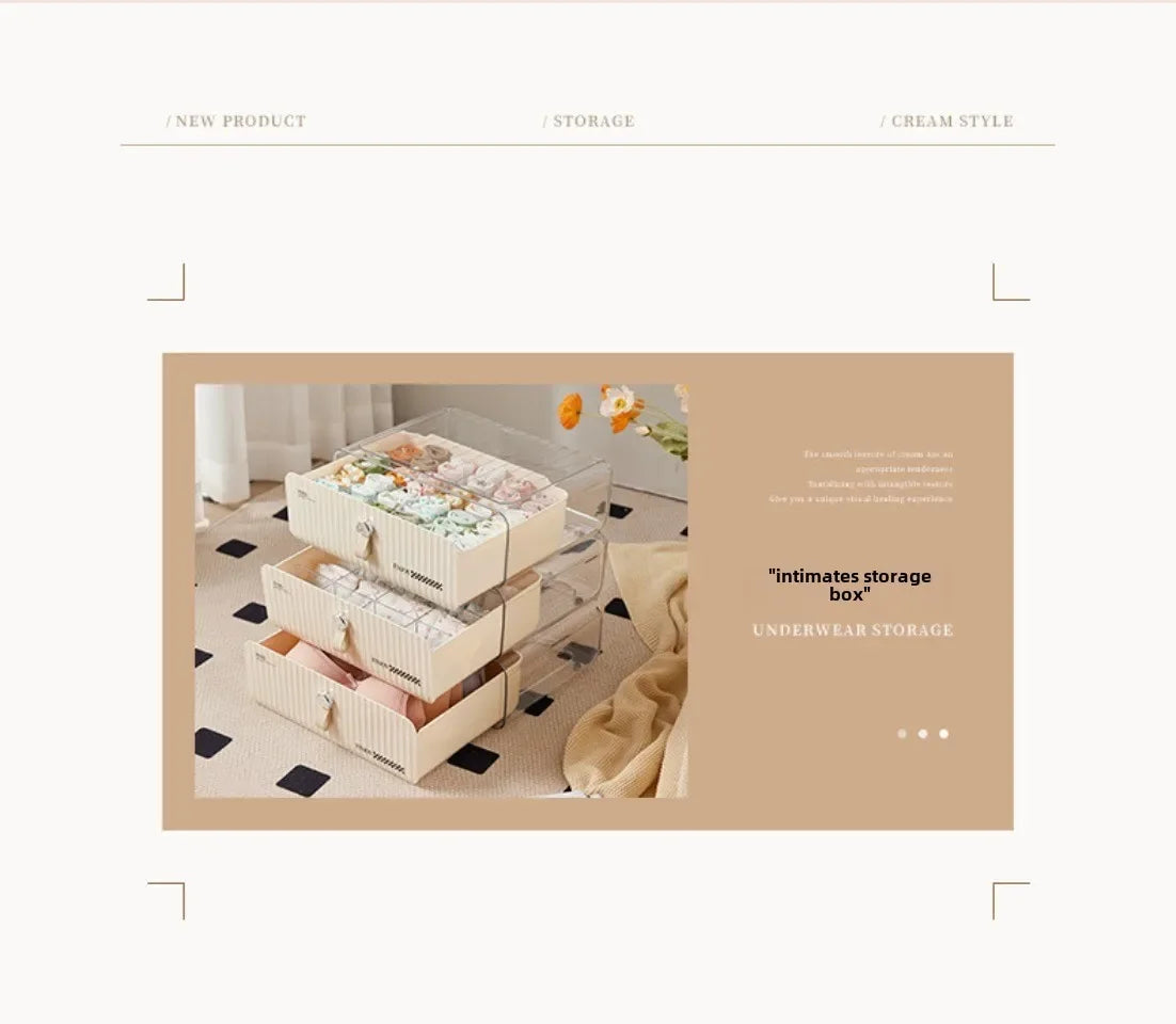 Organizer For Underwear Socks Bra Pants Scarf Tie Storage Box Wardrobe Drawer Organizers Foldable Case For Underwear Organizer