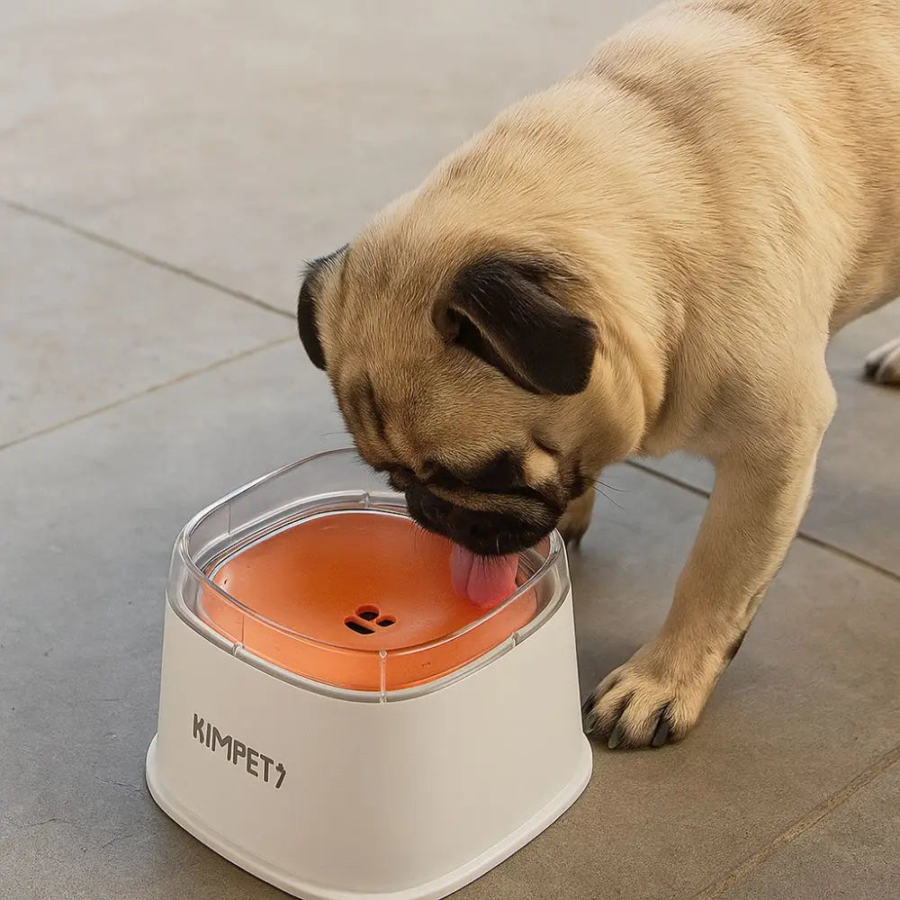 Non-Wetting Mouth Pet Floating Bowl Spill Proof Removable Dogs Slow Drinking Bowl Large Capacity Anti-Tip Pet Water Bowl Cattery