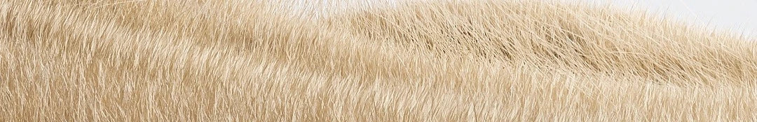 XIAOMI MIJIA Lint Remover 2 Rechargeable Cloth Fabric Shaver Fluff Pellet Remove Machine Shaving Removing Fluff USB Rechargeable