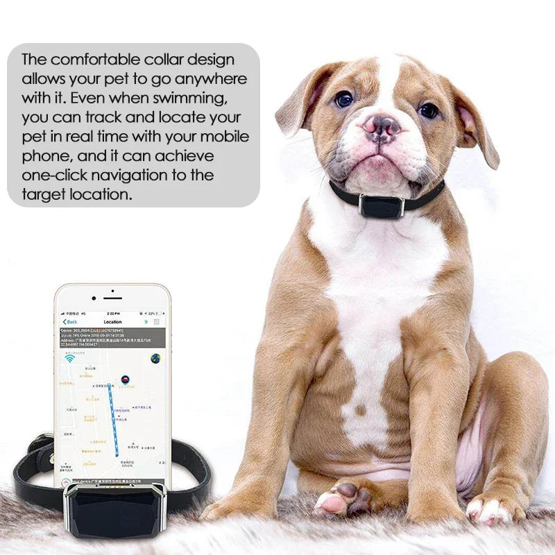 Real-Time Call Remote Control Pet GPS Tracker Cats Dogs Sheep Adjustable Collar Waterproof GPS Locator