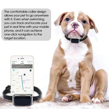 Real-Time Call Remote Control Pet GPS Tracker Cats Dogs Sheep Adjustable Collar Waterproof GPS Locator
