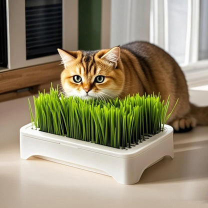 Hydroponic Growth System Pet Cat Grass Nursery Pot Growth Planting Assistant  Reusable Multifunctional Gardening Supplies