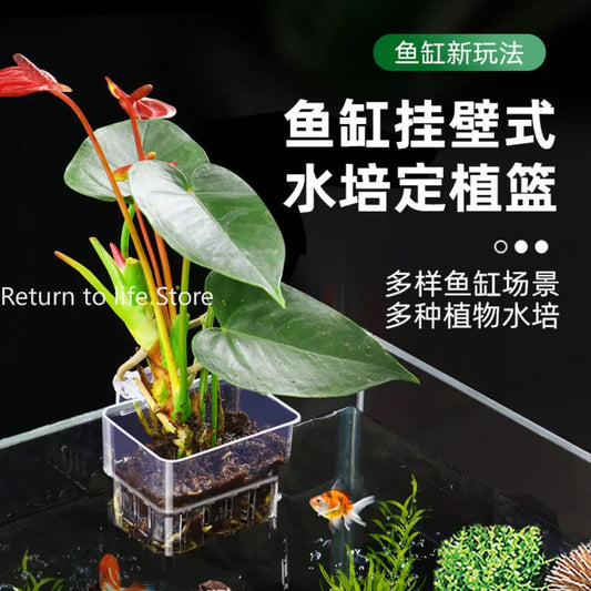Fish Aquarium Water Grass Cup Multiple Plant Hydroponics Hydroponic Planting Basket For Fish Tank Landscape Home Garden