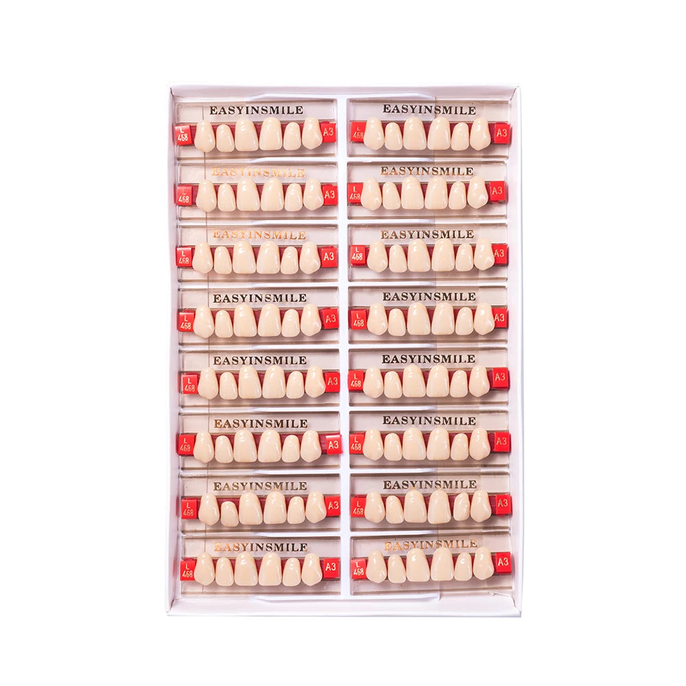 16/12 Sets/ Box Dental Teeth Anterior Posterior Polymer Denture acrylic Tooth A2 A3 2 Layers Dentistry Materials Education Model