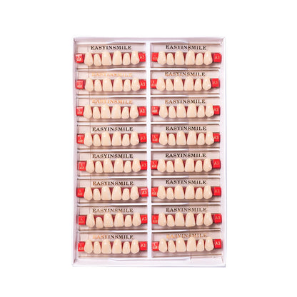 16/12 Sets/ Box Dental Teeth Anterior Posterior Polymer Denture acrylic Tooth A2 A3 2 Layers Dentistry Materials Education Model